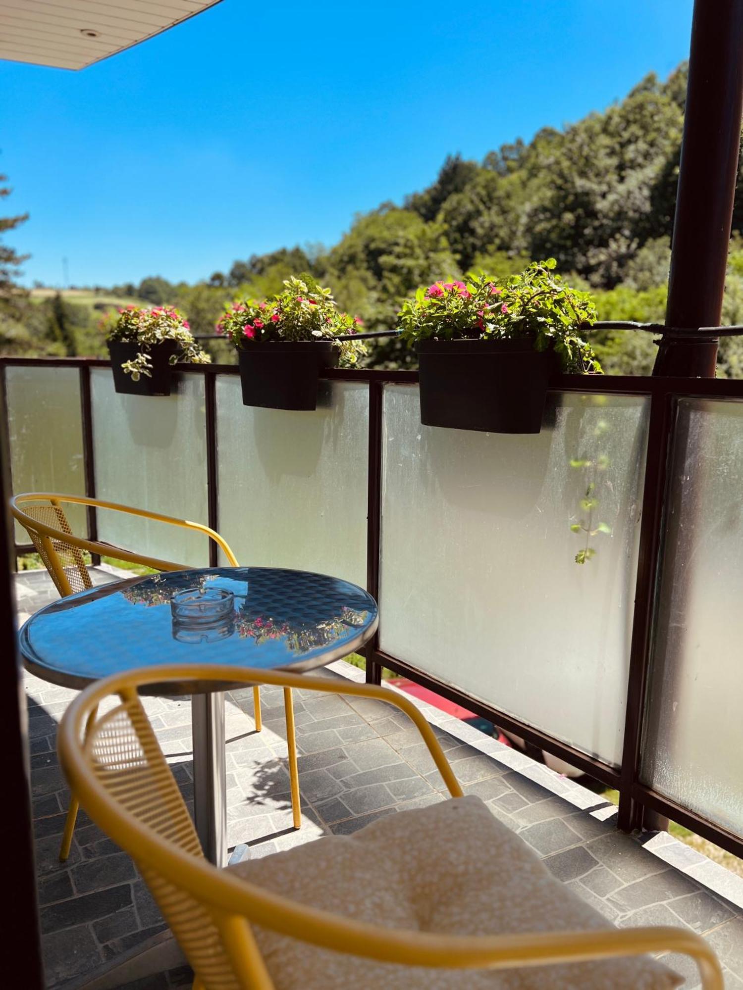 Zeleni Dvor Bed & Breakfast Ribarska Banja Exterior photo